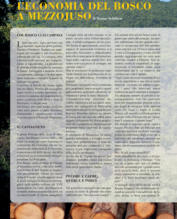 Add your one line caption using the Image tab of the Web Properties dialog